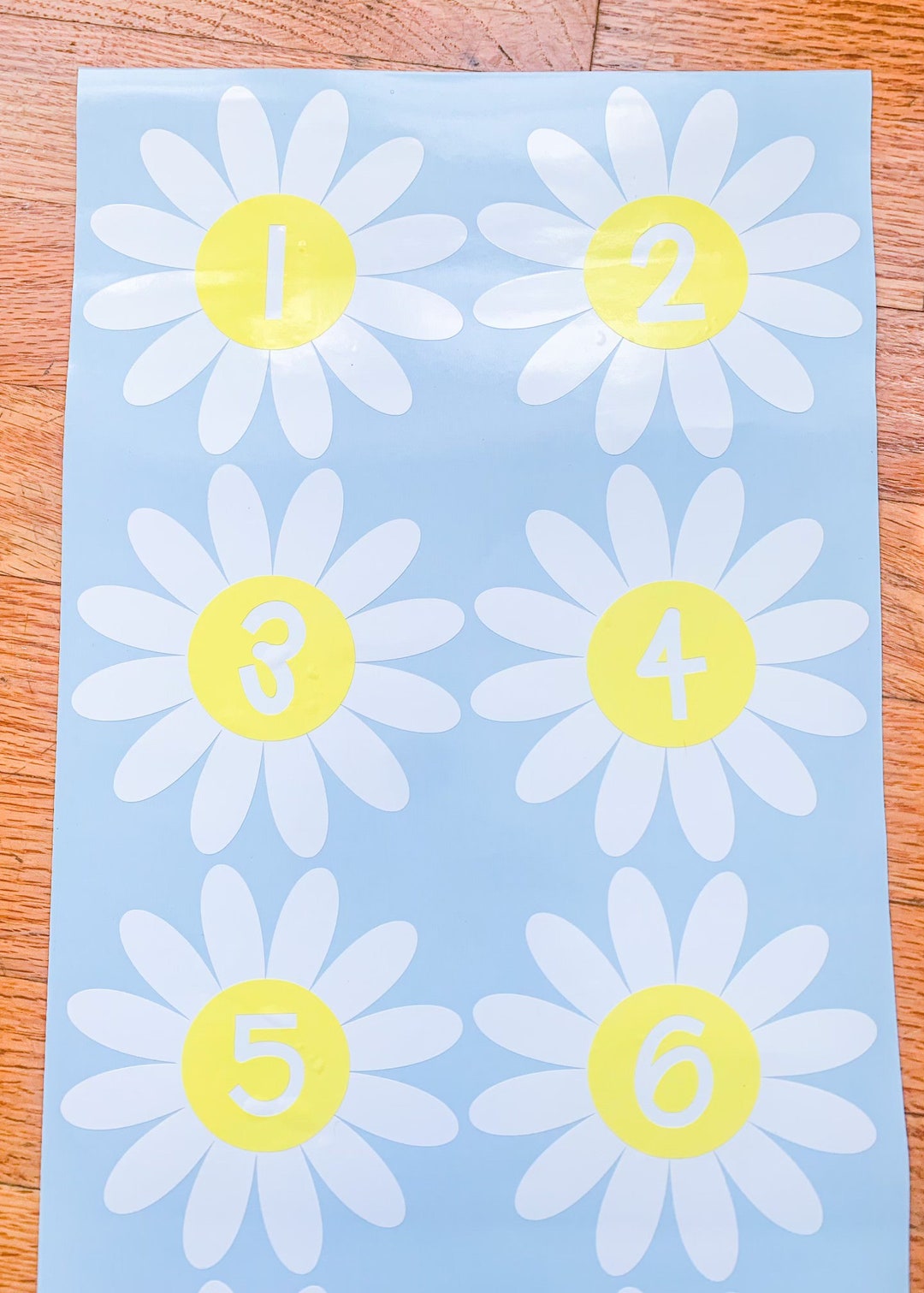 Daisy Line up Decals | Classroom Management Daisy Decals | Boho ...