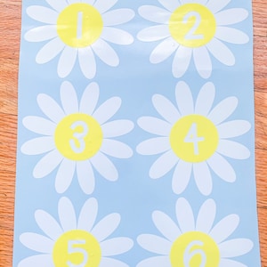 Daisy Line Up Decals | Classroom Management Daisy Decals | Boho Classroom Decals | Flower Line Up Decals | Flower Classroom Line Up Spots