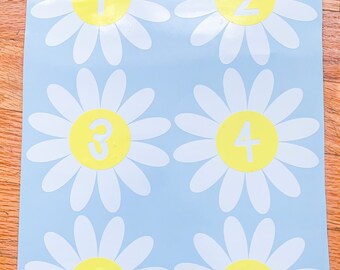 Adhesivos de margaritas para formar filas / Adhesivos de margaritas para la gestión del aula / Adhesivos bohemios para el aula / Adhesivos florales para formar filas / Espacios florales para formar filas en el aula