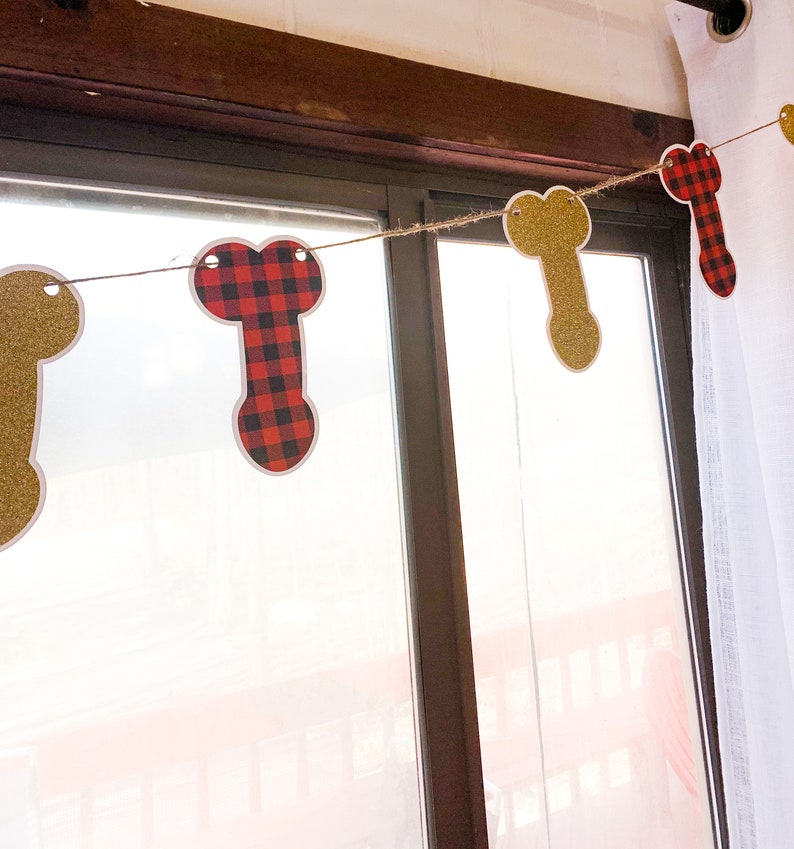 Glitter and Buffalo Plaid Penis Banner image 3