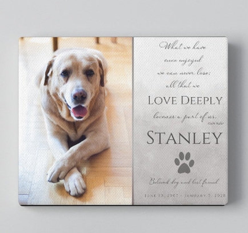 Pet Loss Memorial Canvas Print Loss of Dog Sympathy Gift