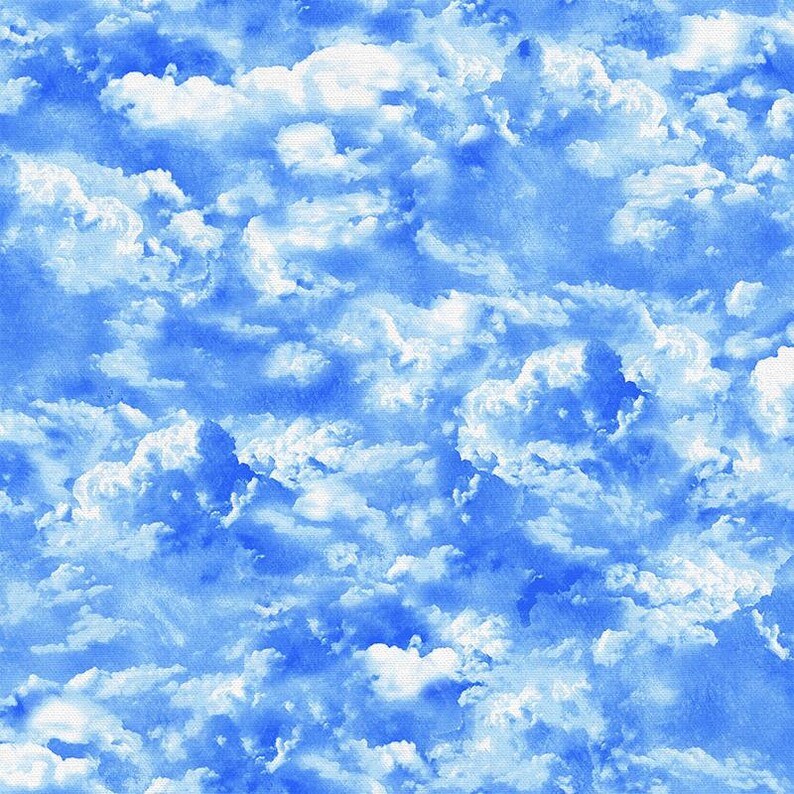 Clouds Fabric by the Yard Barnyard Blenders Sky Paintbrush Etsy