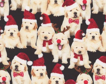 Christmas Puppy Fabric by The Yard, Holiday Lab Puppies, Timeless Treasures CD3468, Quality Quilting Cotton