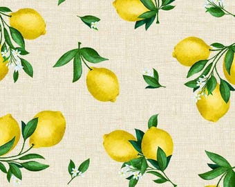 Lemon Fabric By The Yard, Lemon Texture, Michael Miller Fabrics, Lemon Fresh, DC10755-Beig-D, Quilting Cotton, TheFabricEdge