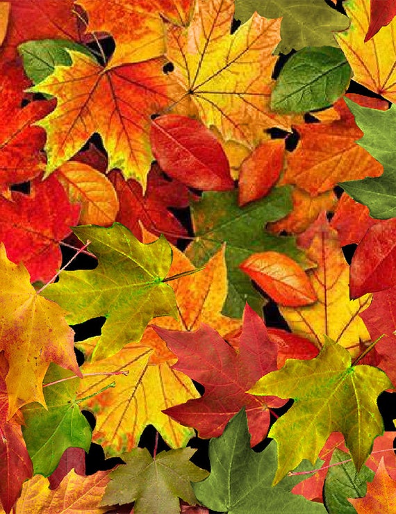 Green Autumn/Fall Leaves Yellow Berries Cotton Quilt Fabric BTY Green Autumn/Fall Leaves Yellow Berries Cotton Quilt Fabric BTY