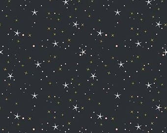Christmas Candy Canes with Dots Fabric HF2004 12 Yard Large Print NEW Fabric BTHY Black with Silver Highlights