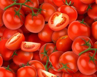 Tomato Fabric, By The Yard, Red Cherry Tomatoes, Elizabeth's Studio, 436E-RED, Quilting Cotton, BTY, TheFabricEdge