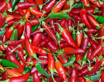 Hot Peppers Fabric, By The Yard, Multi Chili Pepper, Elizabeth's Studio, 576E-MLT, Quilting Cotton BTY, TheFabricEdge