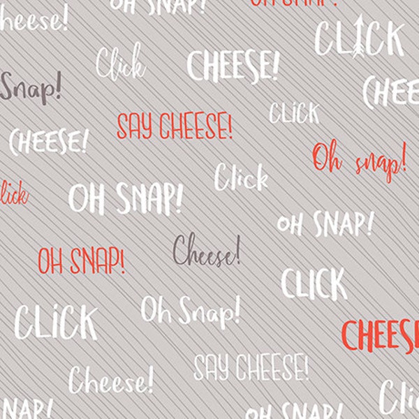 Word Fabric, By The Yard, Say Cheese, Quilting Treasures, 26336K, Quilting Cotton, BTY, Photography Fabric, TheFabricEdge