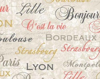 Paris Fabric, By The Yard, C'est La Vie Words, Paintbrush Studio, 120-13052, Quilting Cotton, BTY, TheFabricEdge