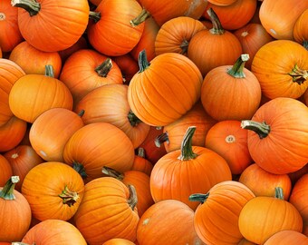 Pumpkin Fabric, By The Yard, Orange Pumpkins, Elizabeth's Studio, 615E-ORANGE, Quilting Cotton, BTY, TheFabricEdge