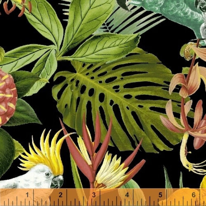 Tissu De Paradis Par Yard Windham Fabrics Oiseaux De Paradis Noir Whistler Studios Tissu Tropical Thefabricedge