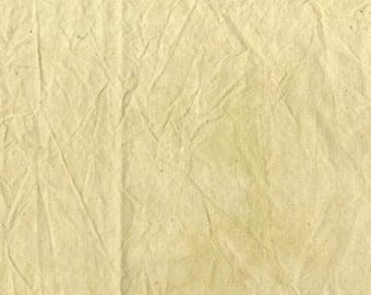 Cream Solid, By The Yard, Windham Fabrics, 37098-11, BTY, Palette, TheFabricEdge