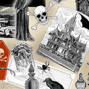 Halloween Fabric By The Yard, Nevermore Spooky Collage, Timeless Treasures C8636, Quilting Cotton BTY, TheFabricEdge