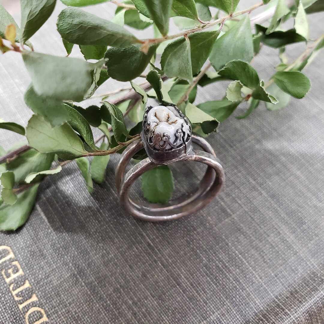 Human Teeth Rings Human Molar Ring. Human Teeth Jewelry. Gothic Accessories. Taxidermy ...