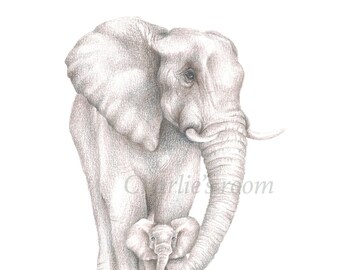 Mama and baby elephant