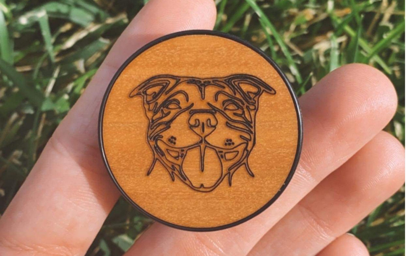 accessories for pitbulls