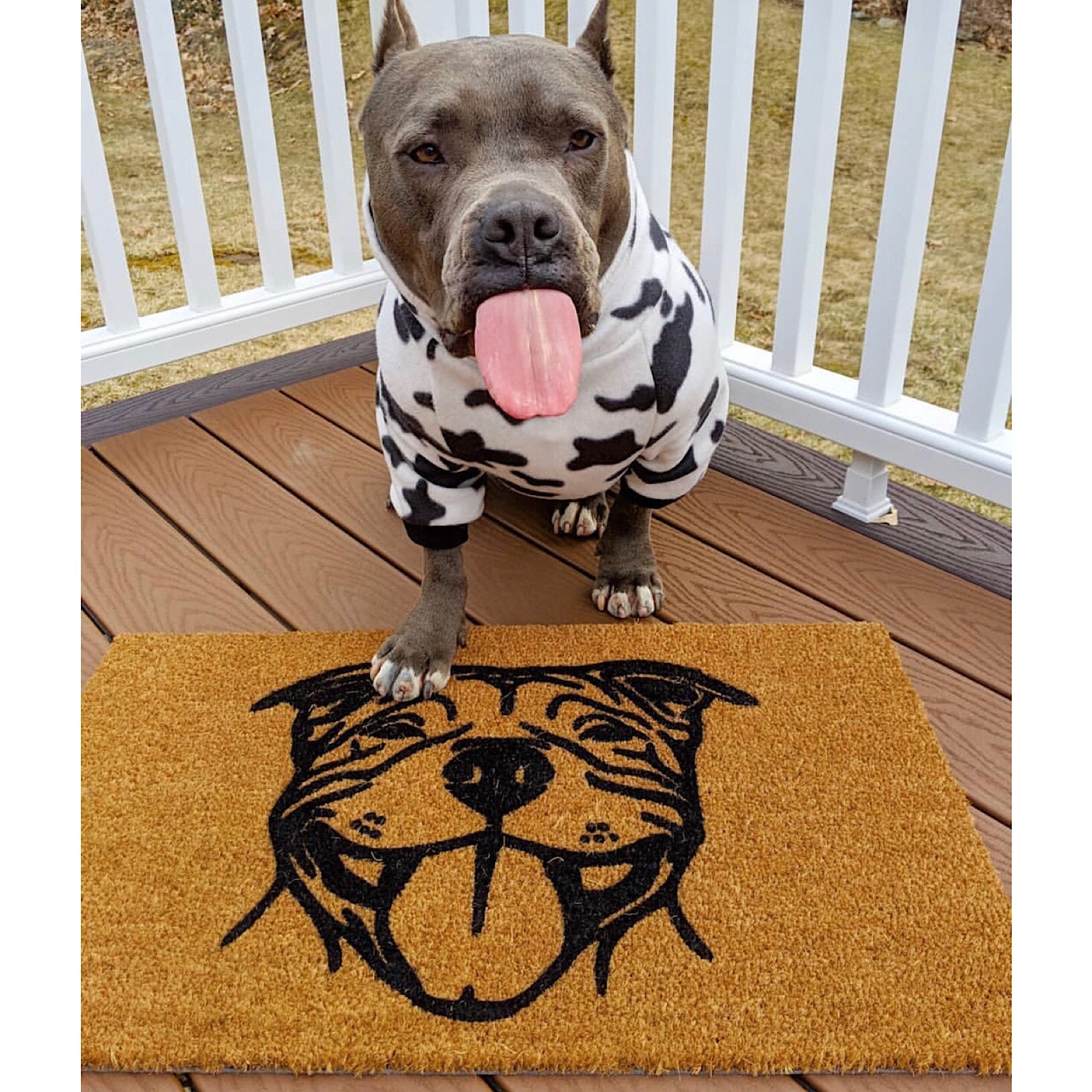 Pitbull Doormat Dog Doormat I Hope You Like Pitbulls Show Me Your Pitties Pittie Lover Pitbull Mom Pitbull Decor Pitbulls Etsy Canada