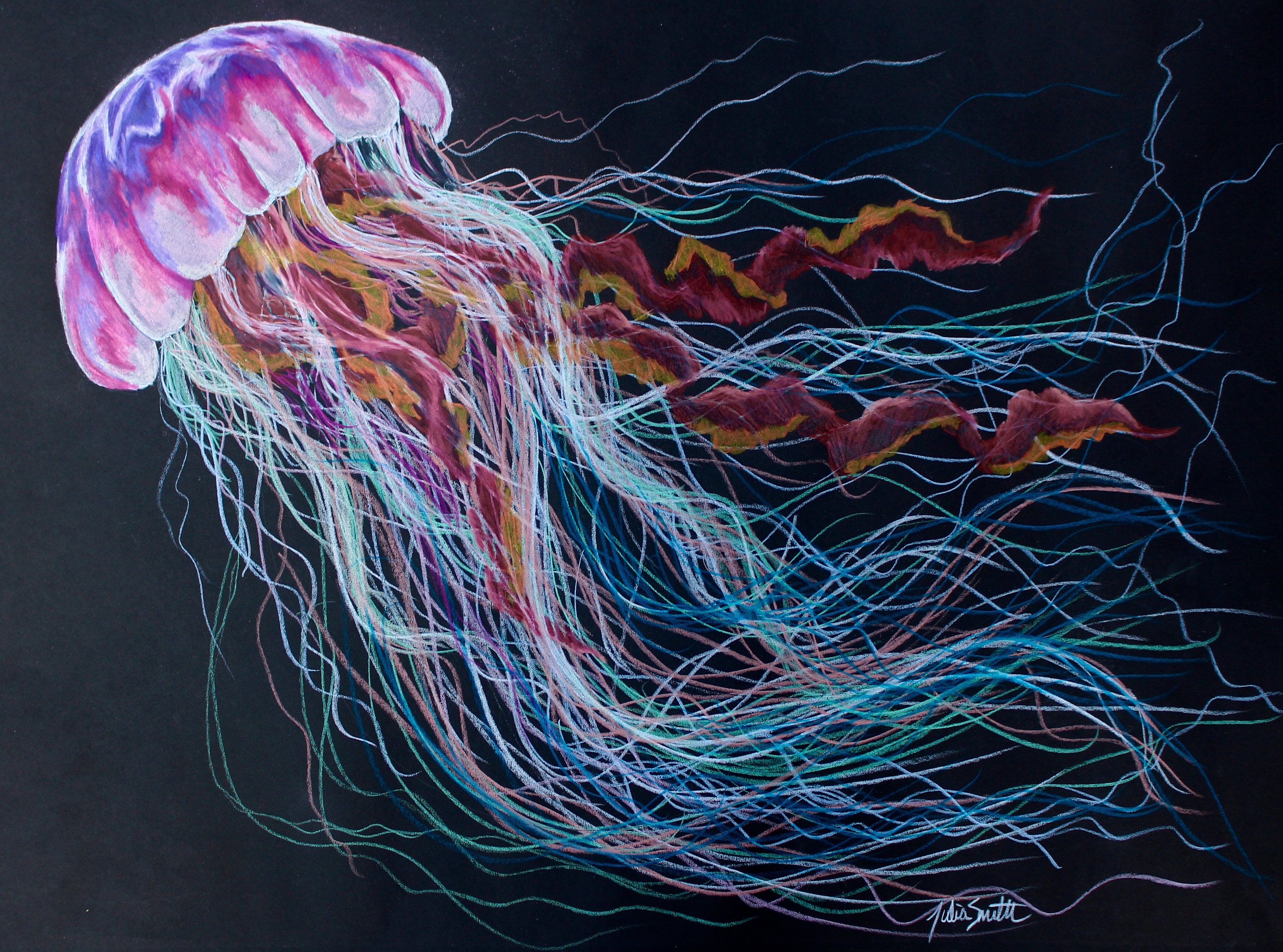 La Valse colored pencil jellyfish Etsy