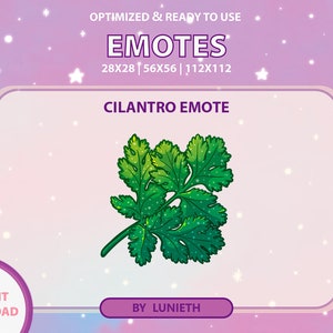 Cilantro Emote | Cute Twitch Emote Design | Twitch Discord Youtube | Channel Points