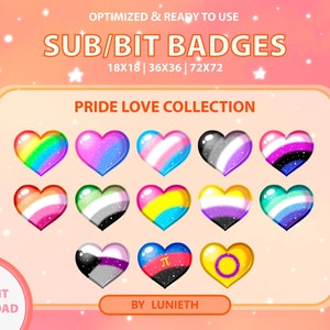 Pride Flag Twitch Sub Badges | Rainbow Pride Cheer Badges | Twitch Badges |  Kawaii
