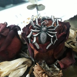 Tarantula Spider leather necklace,Spider jewelry,Tarantula pendant,Halloween jewelry,spirit animal,symbol of energy,Entomologist Jewelry
