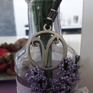 May include: A silver pendant necklace with a circular charm featuring the astrological symbol for Aries. The necklace is hanging from a glass vase with purple flowers.