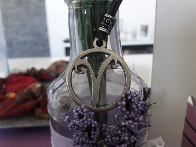 May include: A silver pendant necklace with a circular charm featuring the astrological symbol for Aries. The necklace is hanging from a glass vase with purple flowers.