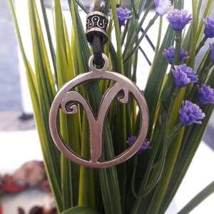 May include: A silver pendant necklace with a circular design featuring the astrological symbol for Aries. The necklace is hanging from a green plant with purple flowers.