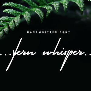 FERN WHISPER-edel Signaturschrift,handgeschriebener Schrift,Schrift,Schrift,Signatur,Zitat Schrift,Kalligrafie,Zitate,Soziale Medien,Typografie,elegant