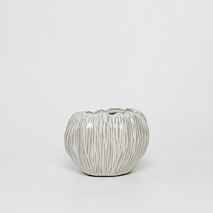 May include: White ceramic planter with a textured, ribbed design. The planter has a rounded shape and a wide opening.