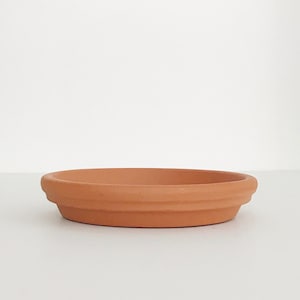 Drain Dishes