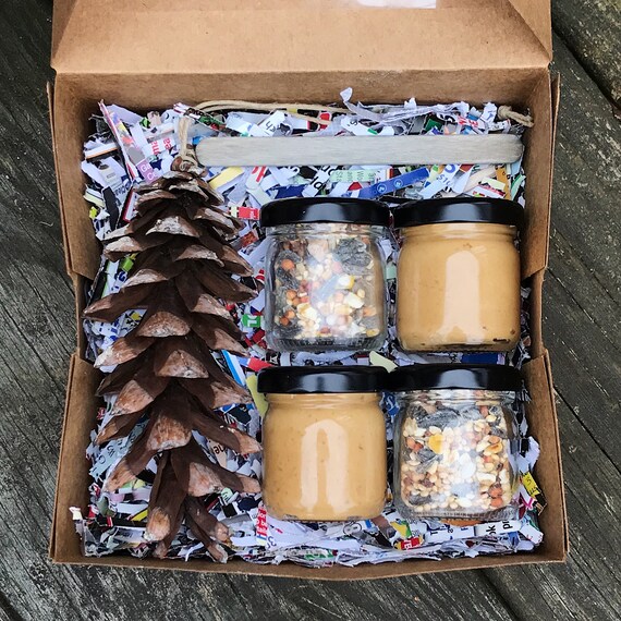 Diy Pine Cone Bird Feeder Kit For Kids Etsy