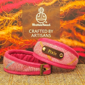 Joli collier de lévrier whippet lévrier rose en largeur ou coupe slim. TWEED HARRIS. Doucement rembourré. Plaque signalétique personnalisée en option.