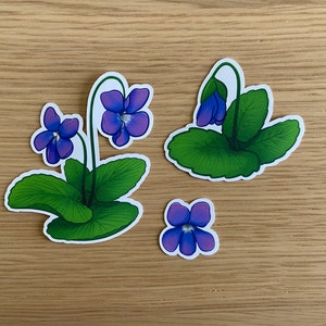 Lot d'autocollants de fleurs violettes illustrés à la main, décalcomanies de fleurs de naissance de février
