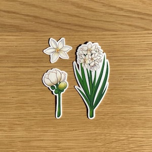 Pack d'autocollants Narcisse, fleurs de naissance de décembre