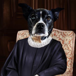 Custom Pet Portrait as Judge – Personalized Artwork in Judge's Robe and Gavel, Funny Dog Portrait, Custom Pet Canvas, Gift for Judge