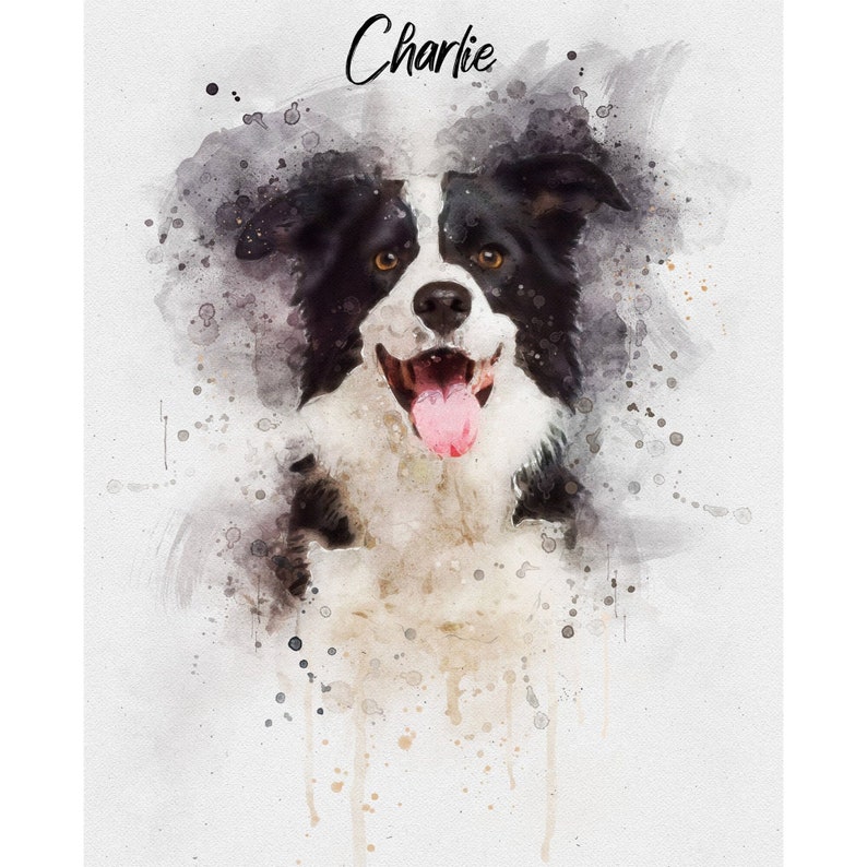 May include: A watercolor painting of a black and white border collie dog with the name "Charlie" written above it.