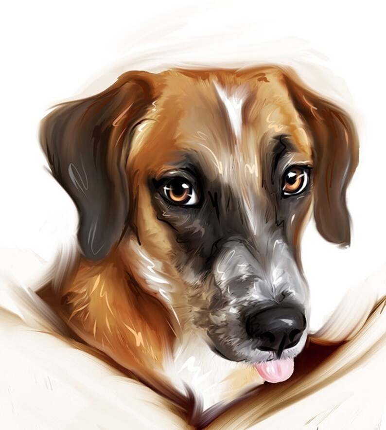 Custom Cartoon Pet Portrait Funny Pet Portrait Dog Portrait Etsy