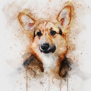May include: Watercolor painting of a brown and white dog with the name "Archer" written above it.