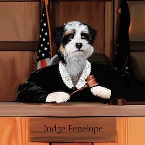 Custom judge judy portrait, Custom Pet Portrait, Pet portraits, judge pet, court justice, dissent, unique gift, funny gift, Judge Judy