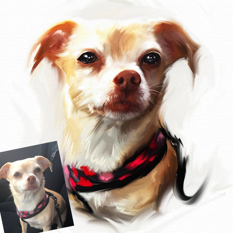 Custom Cartoon Pet Portrait Funny Pet Portrait Dog Portrait Etsy