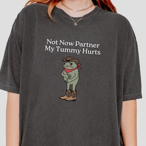 Not Now Partner My Tummy Hurts Shirt IBS Lactose Intolerant Frog Toad Unhinged TShirt Gen Z Meme Funny Shirt Weirdcore Comfort Colors Shirt