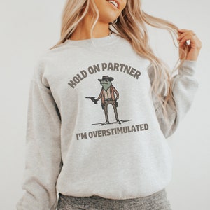 May include: A gray sweatshirt with a cartoon frog wearing a cowboy hat and holding a gun. The text on the sweatshirt reads "Hold on partner I'm overstimulated".