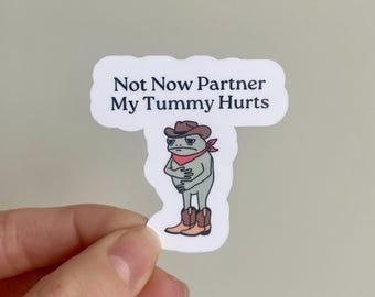 Not Now Partner Mein Bauch tut weh IBS Aufkleber Cowboy Frosch Aufkleber Unhinged Weirdcore Gen Z Seltsame Lustige Meme Aufkleber