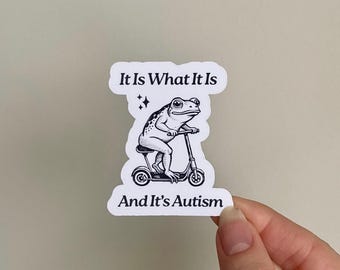 It is What It Is and It&#39;s Autism Sticker Funny Frog Sticker Unhinged Sticker Autism Gen Z Meme Funny Dumb Sticker Weirdcore Stupid Stickers