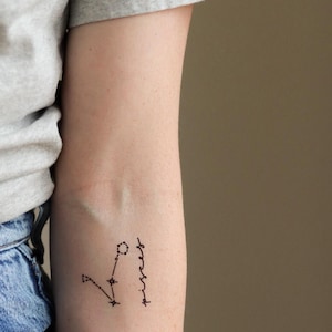 Pisces Temporary Tattoos | The Zodiac Collection