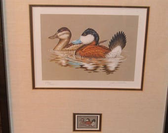 1981 Federal Duck Stamp Framed Print Ruddy Duck by John S. Wilson