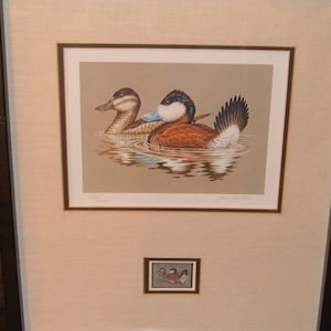 1981 Federal Duck Stamp Framed Print Ruddy Duck by John S. Wilson