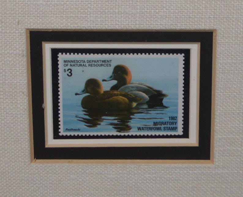 1982 Minnesota Duck Stamp Framed Print Redheads By Phil Etsy